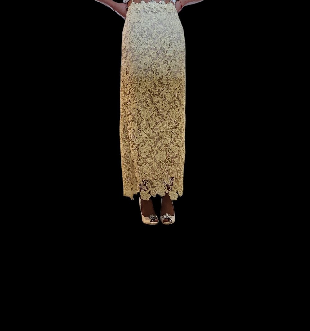 Vintage Floral Lace Panel  Skirt